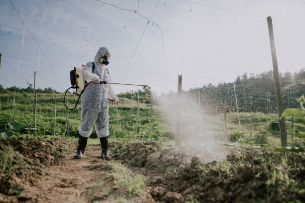 Best Pest Prevention Services  in Ortonville, MI