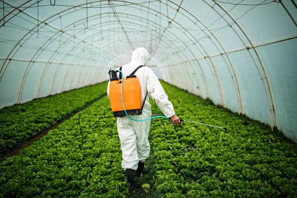 Best Residential Pest Control  in Ortonville, MI