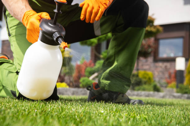 Best Residential Pest Control  in Ortonville, MI