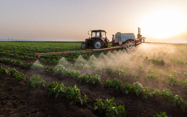 Best Insect Control  in Ortonville, MI