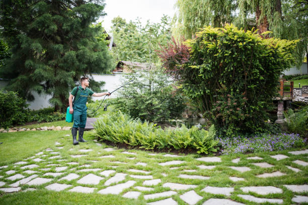 Best Exterminator Services  in Ortonville, MI