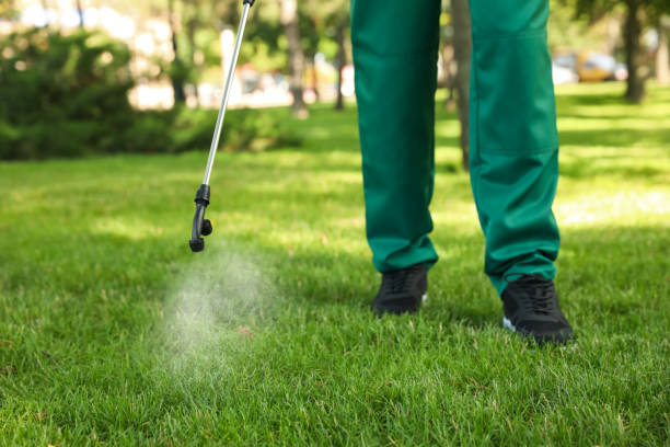 Best Affordable Pest Control Services  in Ortonville, MI