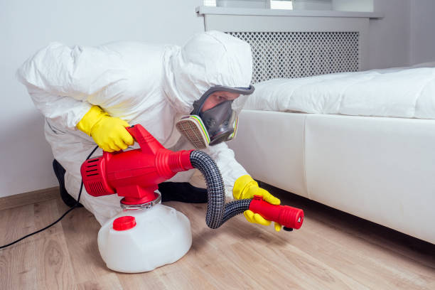 Wasp Removal Services in Ortonville, MI