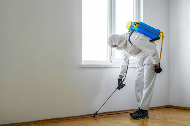 Best Insect Control  in Ortonville, MI