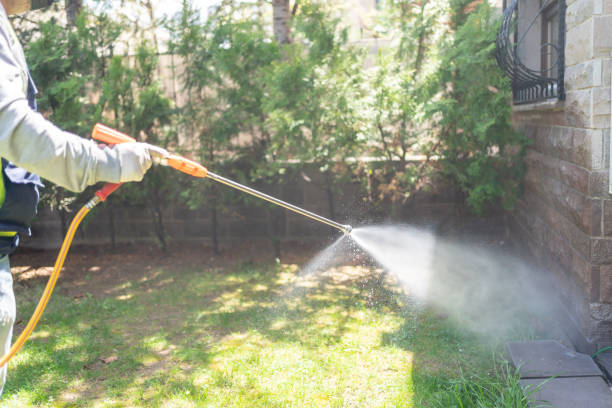 Best Cockroach Control Services  in Ortonville, MI