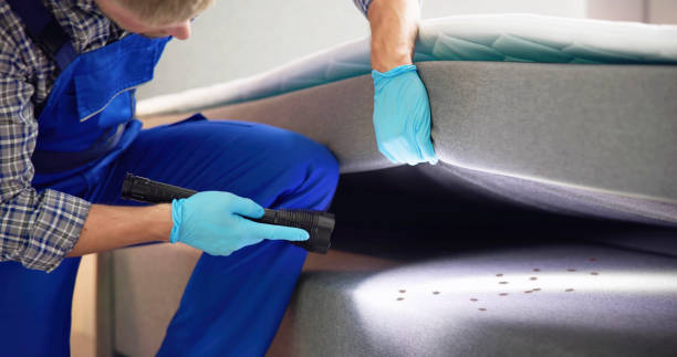 Best Wasp Removal Services  in Ortonville, MI
