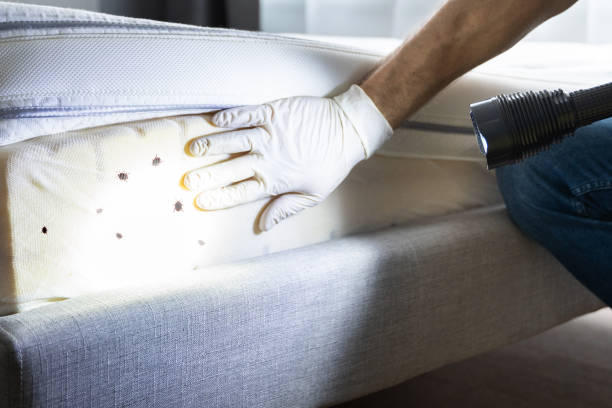 Best Best Pest Control Companies  in Ortonville, MI