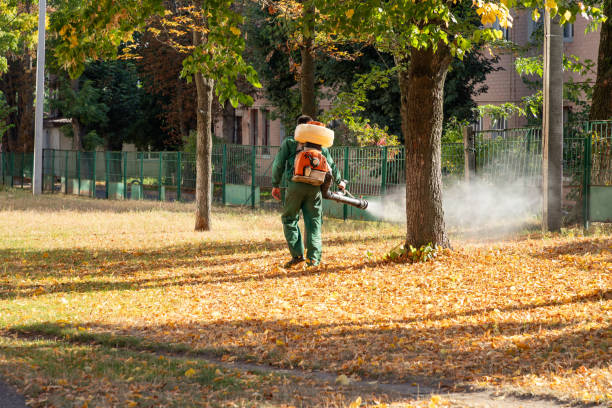 Best Wildlife Control Services  in Ortonville, MI