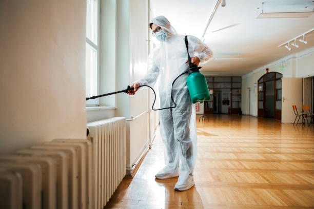 Insect Control in Ortonville, MI