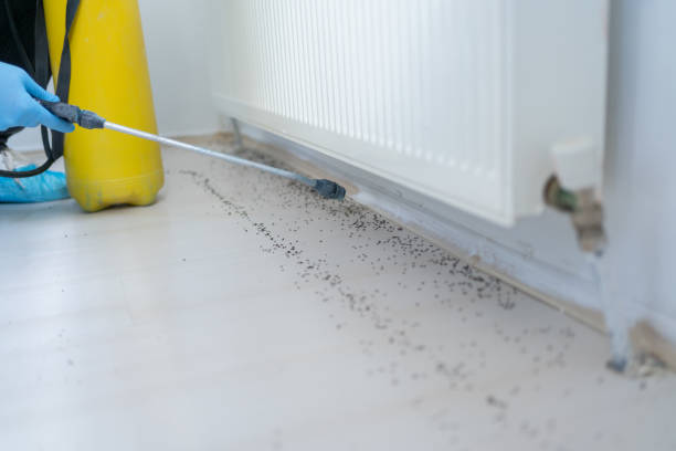 Best Cockroach Control Services  in Ortonville, MI