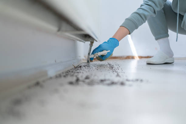 Best Bed Bug Extermination  in Ortonville, MI